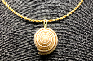 SEA COLLANA